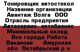 Тонировщик автостекол › Название организации ­ Авантаж-Волга, ООО › Отрасль предприятия ­ Автосервис, автобизнес › Минимальный оклад ­ 1 - Все города Работа » Вакансии   . Амурская обл.,Октябрьский р-н